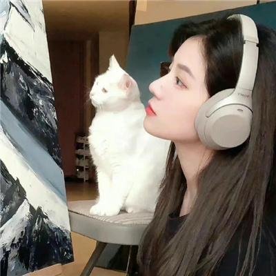 超市特工第五季